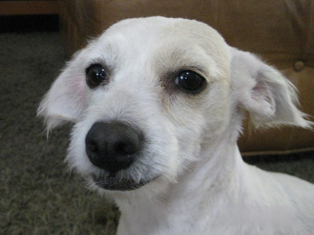 Nimmy-Nimmy loooking odd